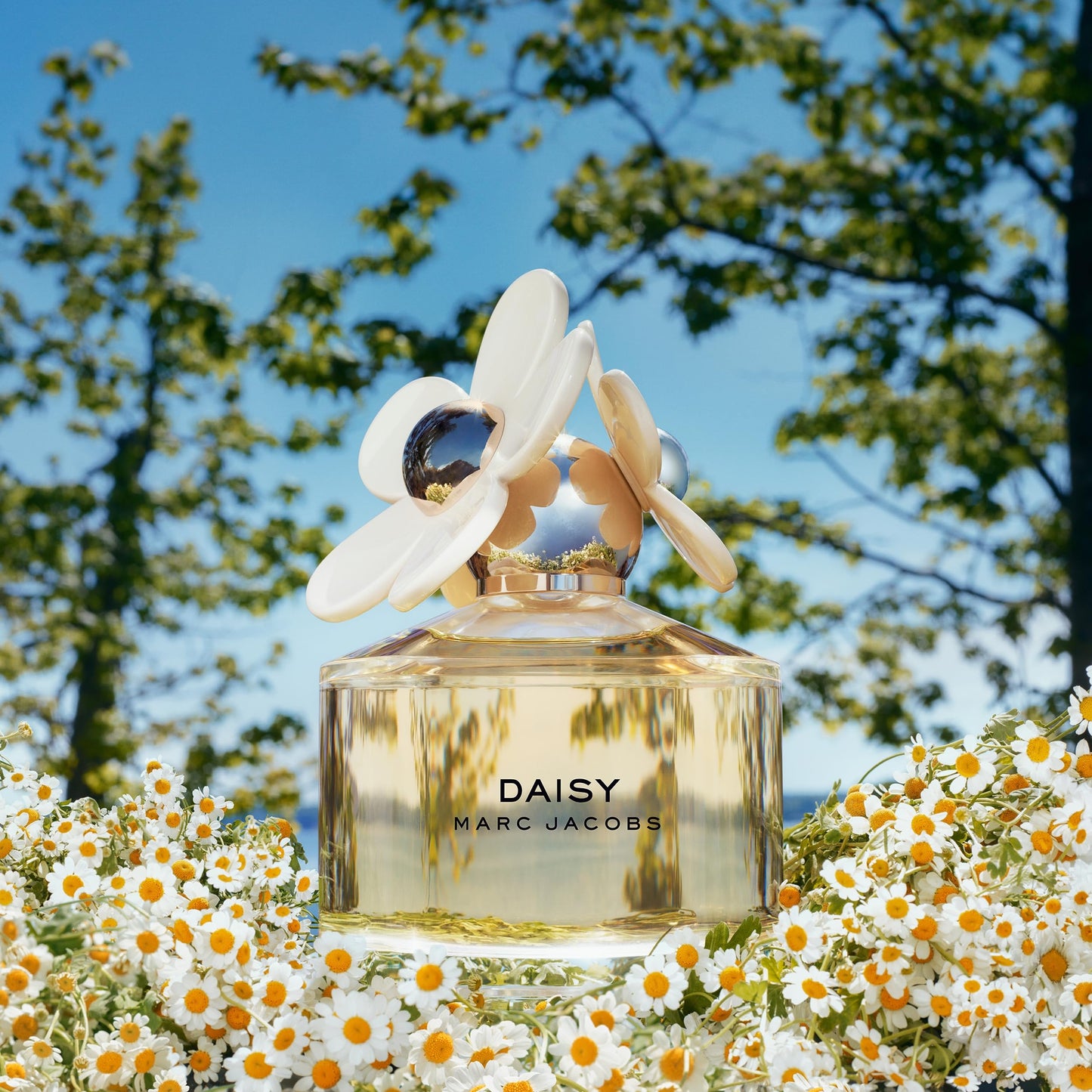 Marc Jacobs Daisy Eau de Toilette 1.6 fl oz